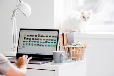 Similar image 21270318