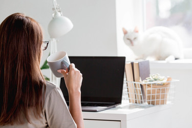 Similar image 21267612