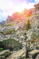 Similar image 21270976