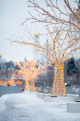 Similar image 21270382