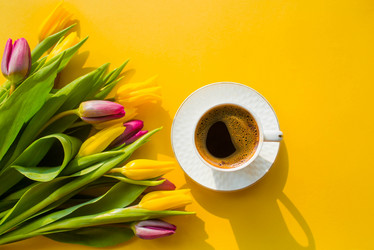 Similar image 21275721