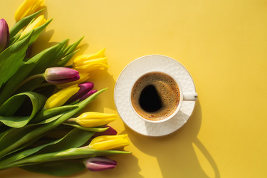 Similar image 21275725