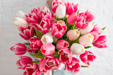 Similar image 21287349