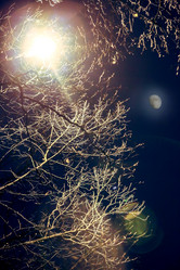 Similar image 21271005