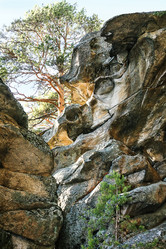 Similar image 21271013