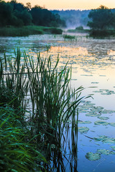 Similar image 21271024