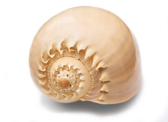 Similar image 21263007