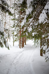 Similar image 21267763