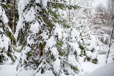 Similar image 21267764