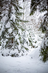 Similar image 21267765