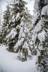 Similar image 21267766