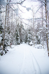 Similar image 21267767