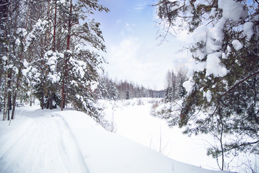 Similar image 21267769