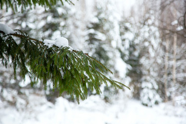 Similar image 21267770