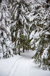 Similar image 21267771