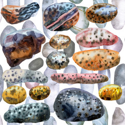 Similar image 21266944