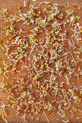 Similar image 21266721