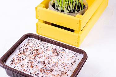 Similar image 21266722