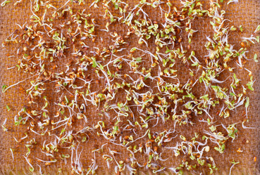 Similar image 21266741