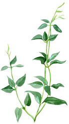 Similar image 21261979