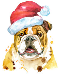 Similar image 21262246