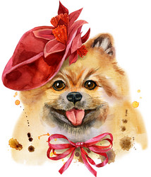 Similar image 21262249