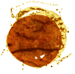 Similar image 21267096