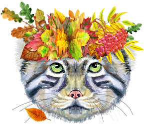 Similar image 21284700