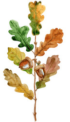 Similar image 21284702