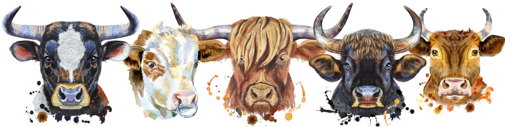 Similar image 21267105