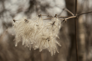 Similar image 21275821