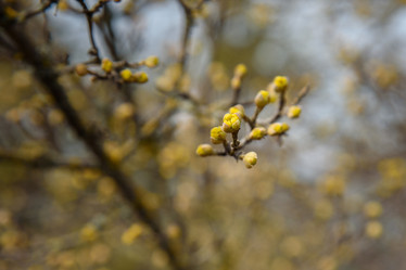 Similar image 21275342