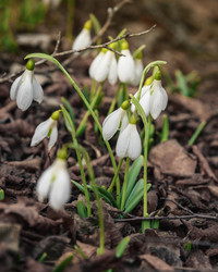 Similar image 21275345