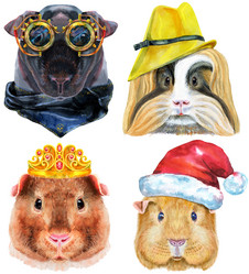 Similar image 21290411