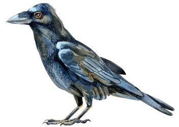 Similar image 21267126