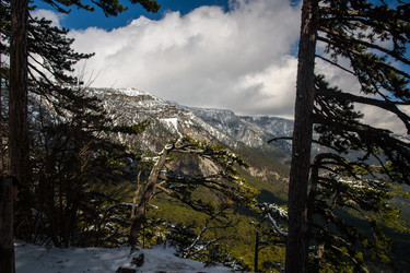 Similar image 21263302