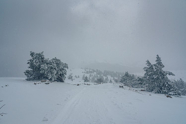 Similar image 21275347