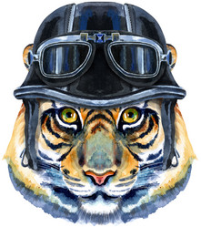 Similar image 21262022