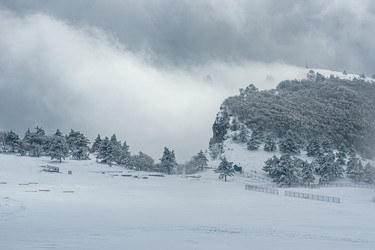 Similar image 21275348