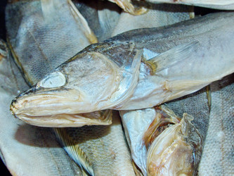 Similar image 21277582