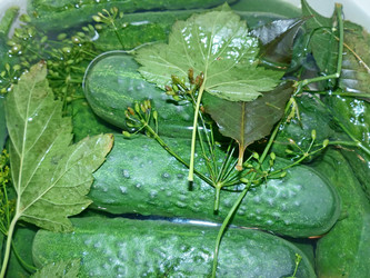 Similar image 21270639