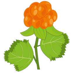 Similar image 21281878