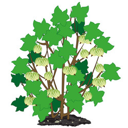 Similar image 21281888