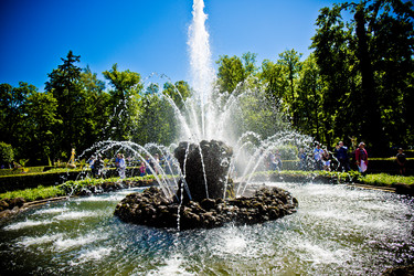 Similar image 21273895