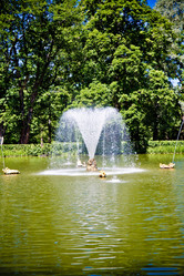 Similar image 21273896