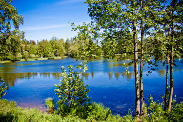 Similar image 21259960