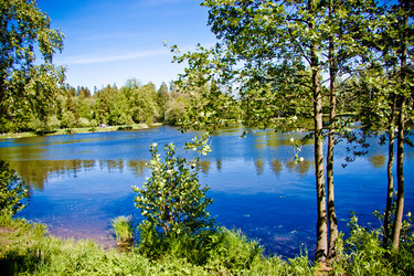 Similar image 21259975