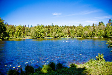 Similar image 21259978