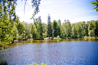 Similar image 21264394