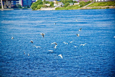 Similar image 21271830